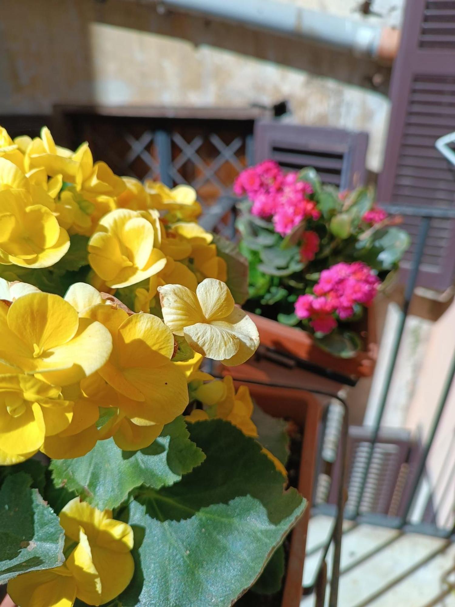 Elegant Rooms Roma - Guest House Екстер'єр фото